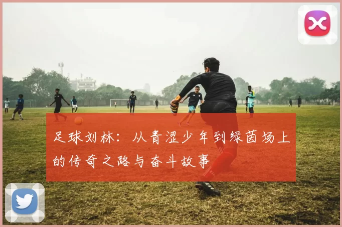 足球刘林：从青涩少年到绿茵场上的传奇之路与奋斗故事
